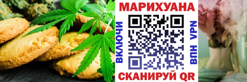 Купить  Дигора  Canna-Cookies конопля 