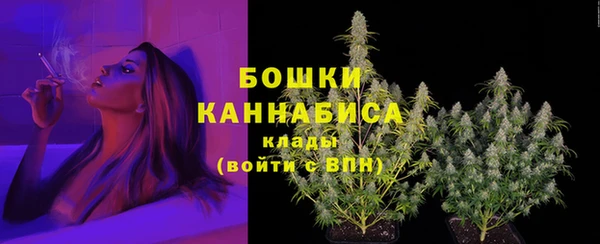 амф Арсеньев