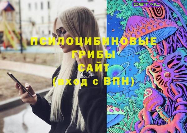 амф Арсеньев