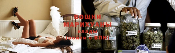 амф Арсеньев
