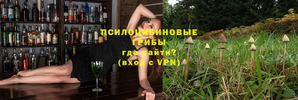 амф Арсеньев