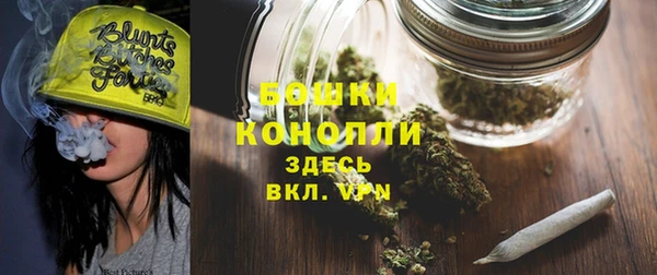 амф Арсеньев