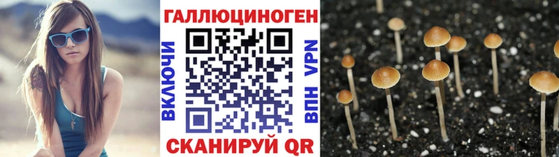 Галлюциногенные грибы Cubensis  Купить  Дигора 